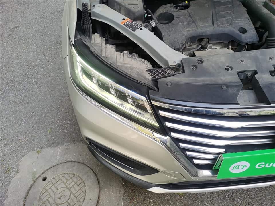 Roewe RX5 New energy