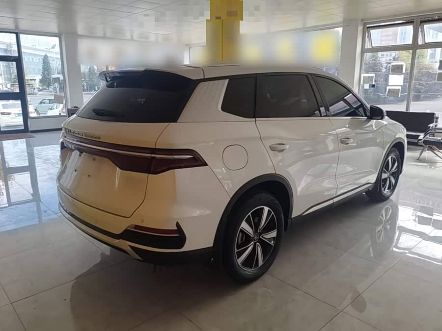 BYD Song Pro New Energy 2023, фото 6
