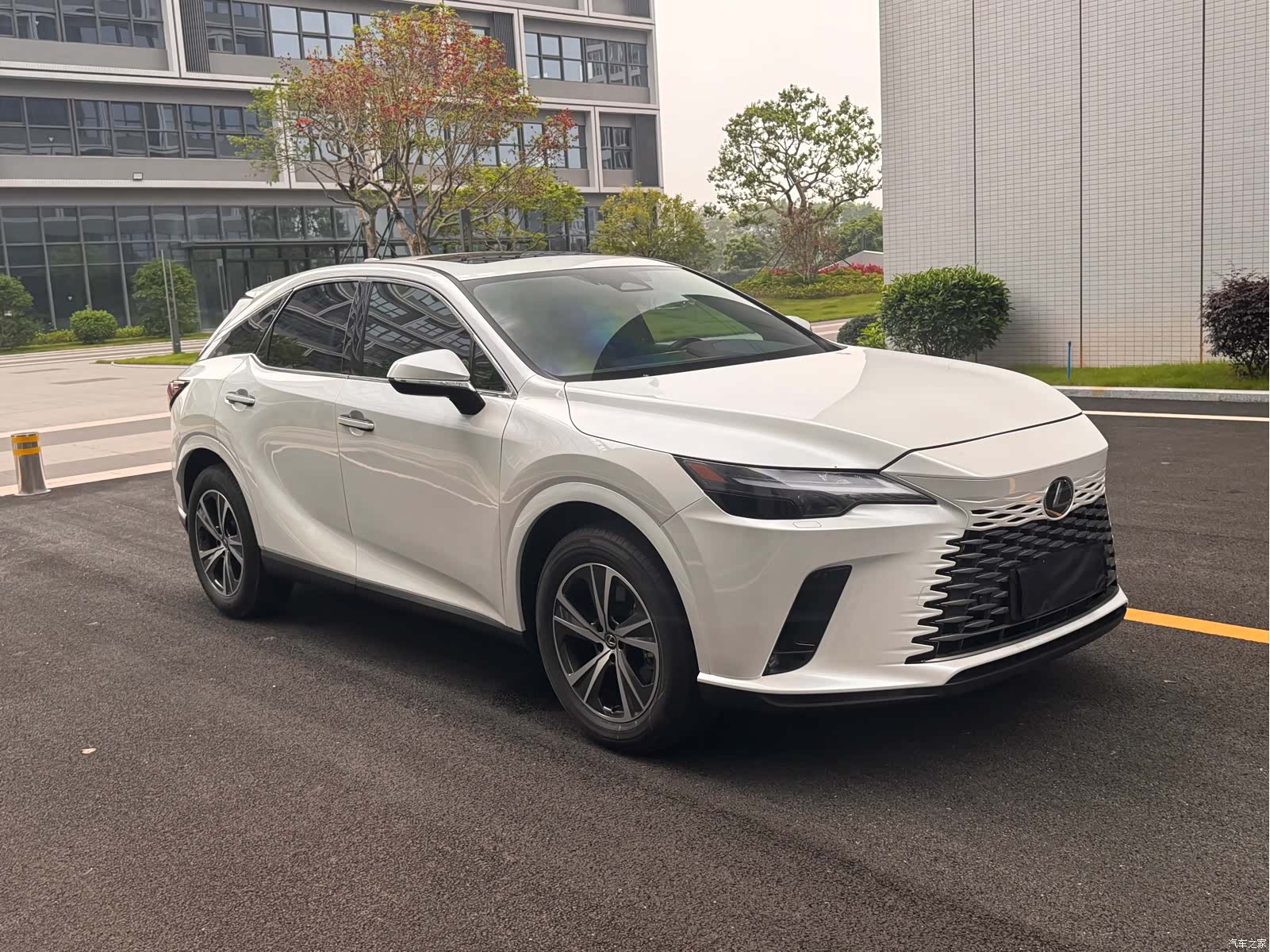 Lexus RX, 2025 4