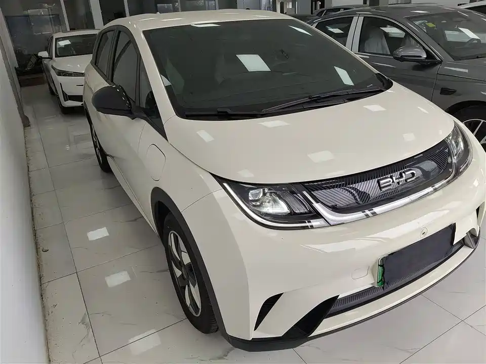 BYD dolphin