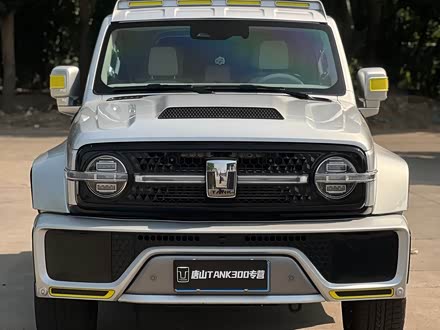 ȫֹ̹300 2021 2.0T ̹