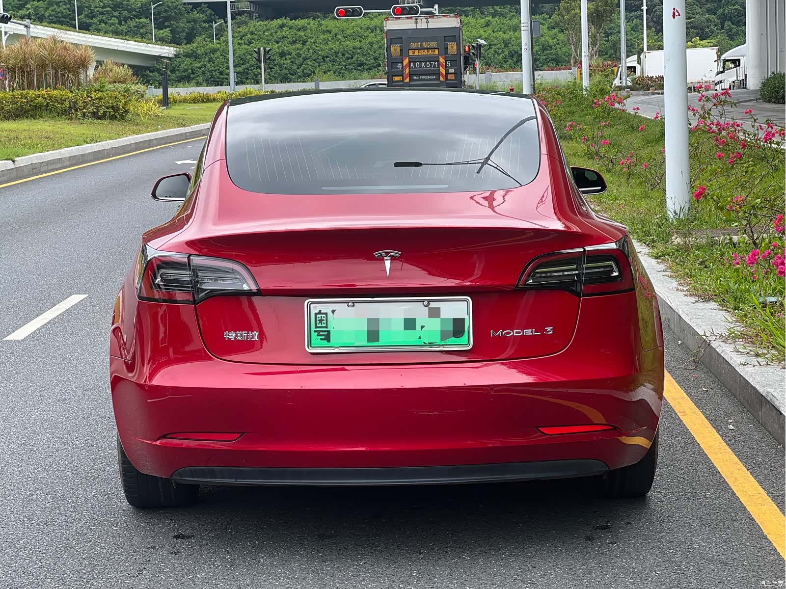 Tesla Model 3, 2020 все фото