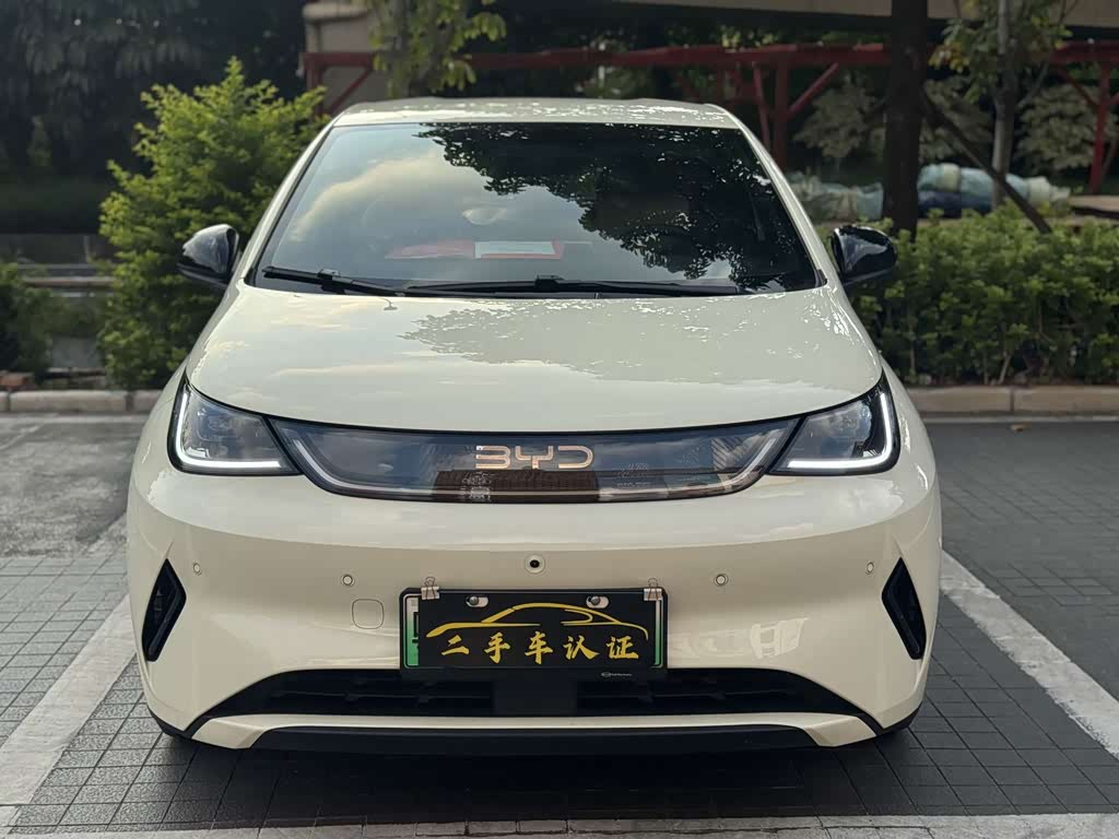 BYD Dolphin 2025 Smart Drive 420km Freedom