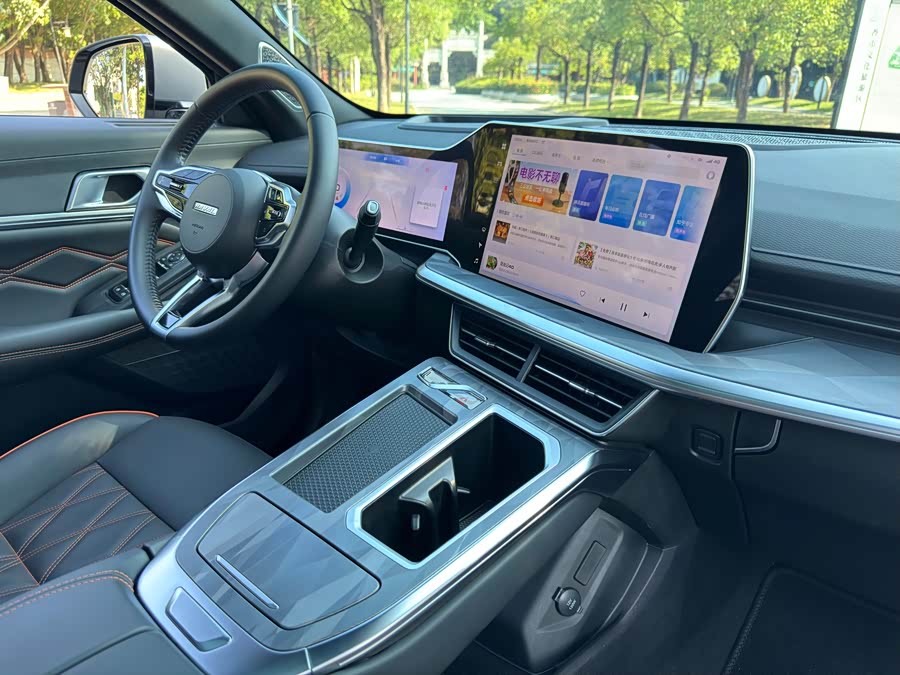 Haval Shenshou 2022, фото 17