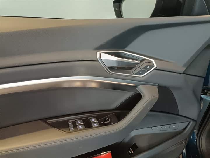 Audi e-tron 2019 55 quattro Style