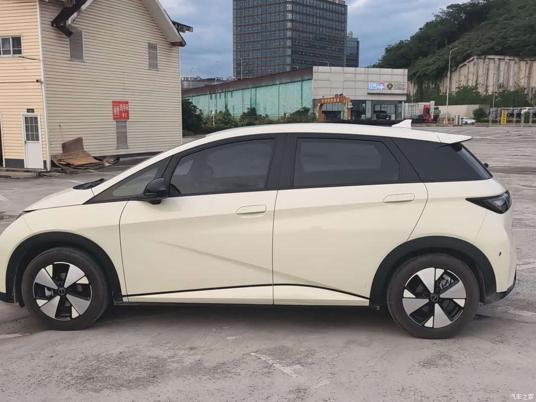 BYD Dolphin, 2024 3