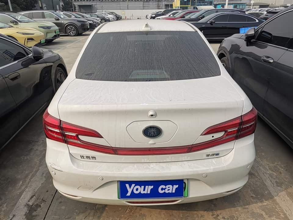 BYD Qinxin Energy