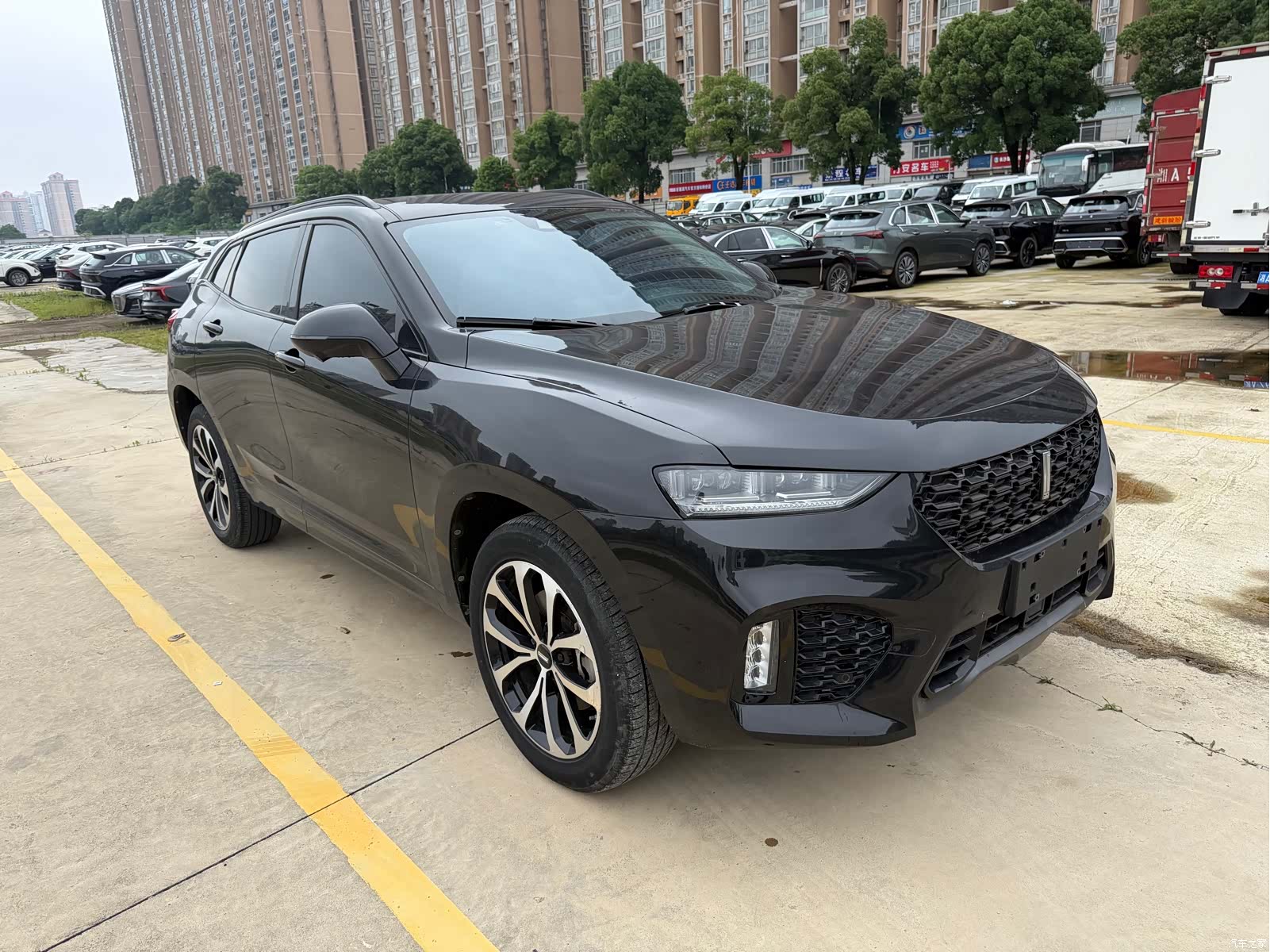 WEY VV7, 2019 3