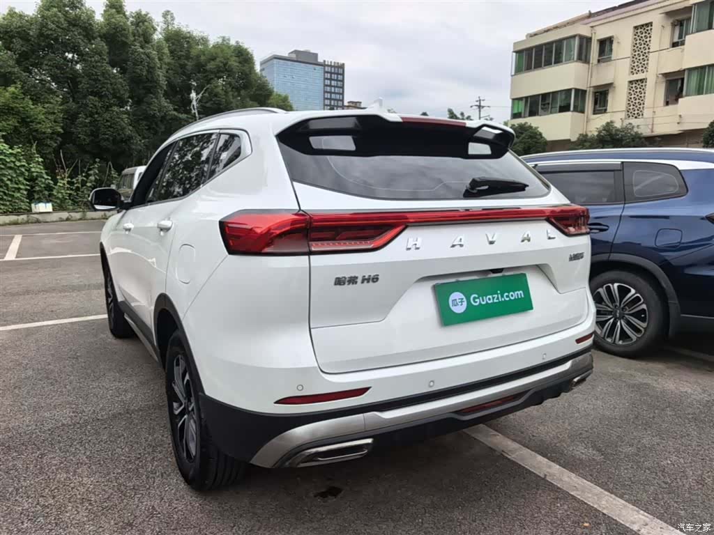 Haval H6, 2024 все фото