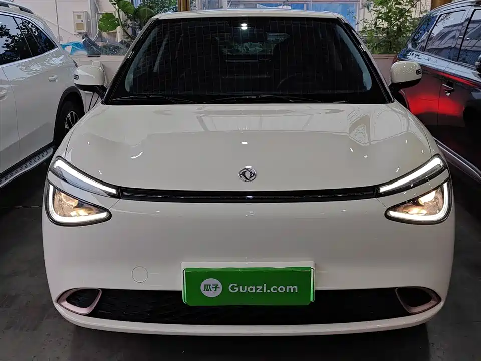 Dongfeng Nammi Nano 01