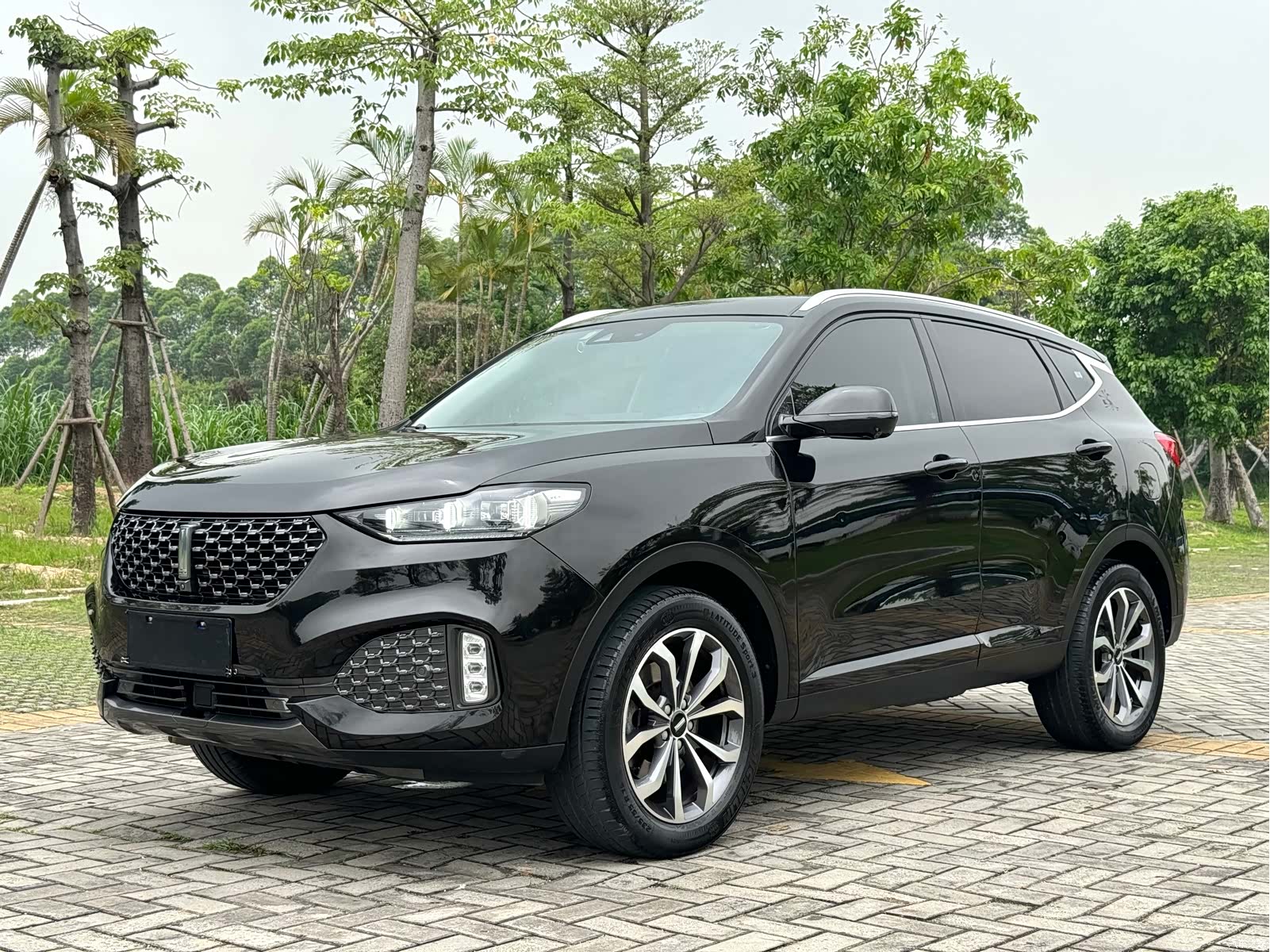 WEY VV6, 2020 1