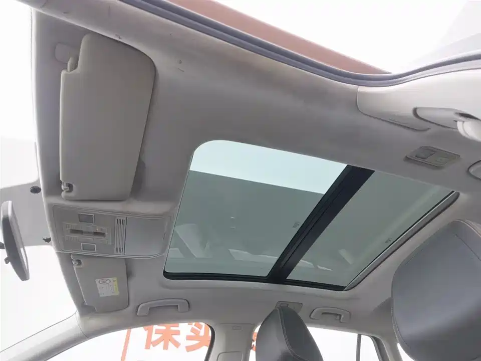 Volkswagen C-TREK Wei Collar