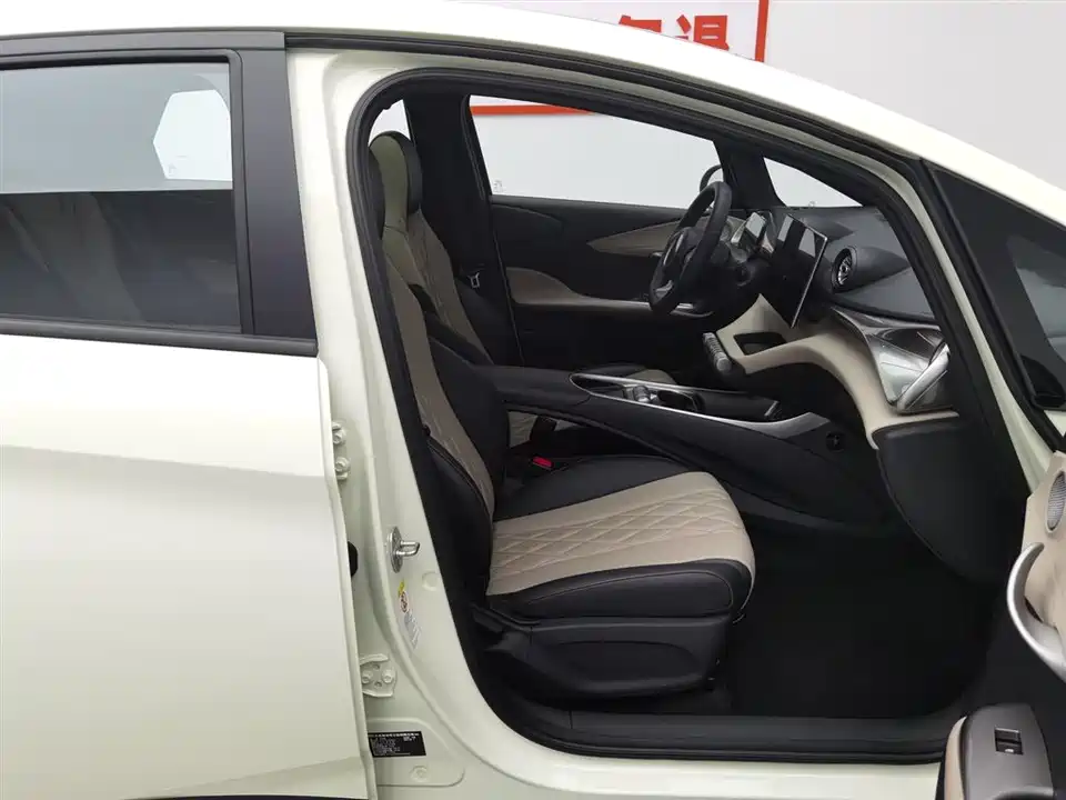 BYD dolphin