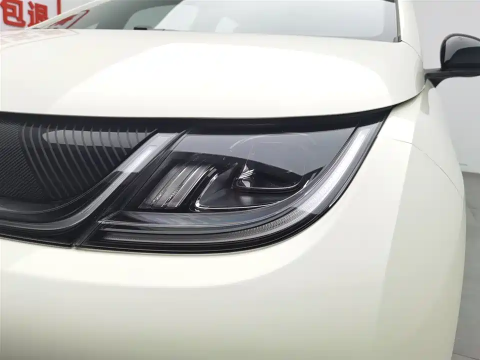 BYD dolphin