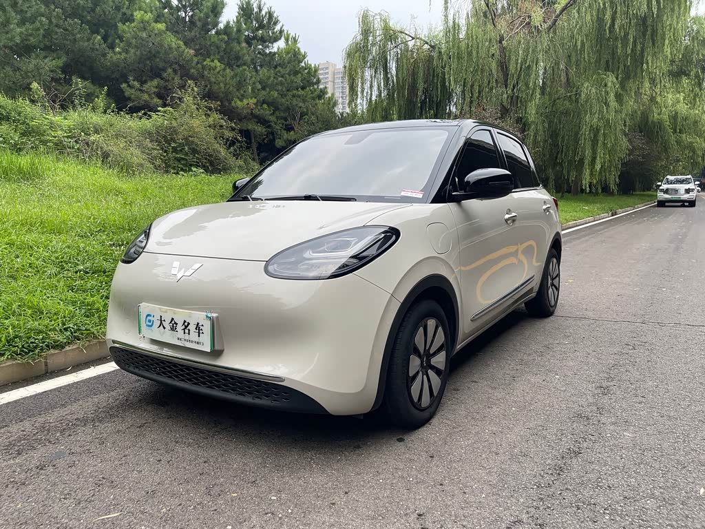 Wuling Binguo