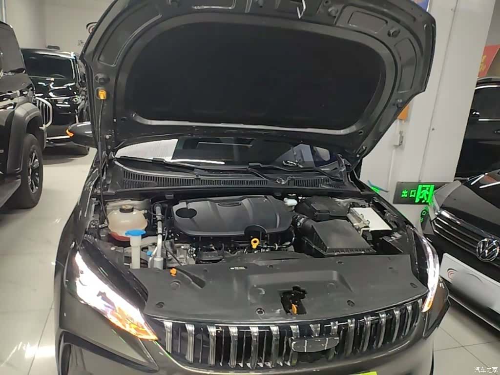 Geely Binray, 2023 20