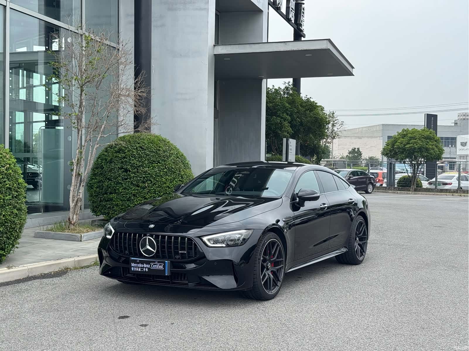 MG AMG