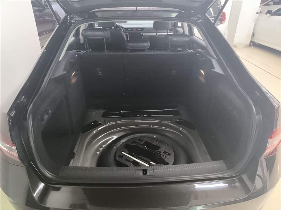 Skoda Speed pie