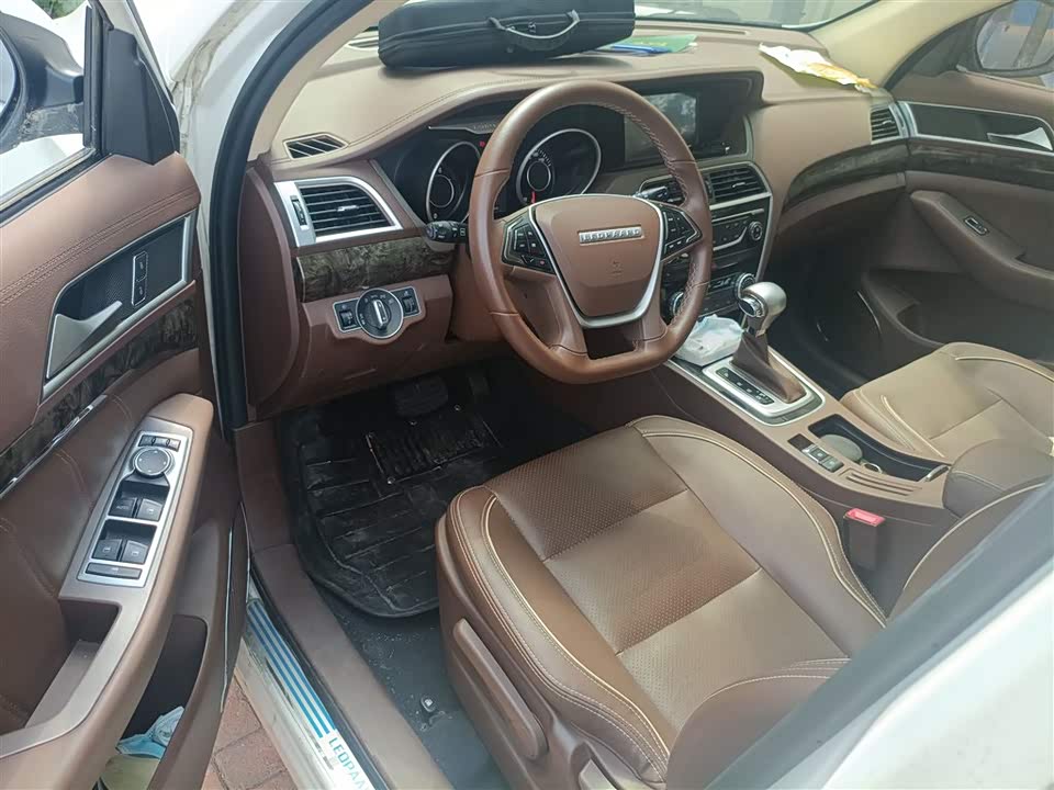 Leopaard Cheetah CS10