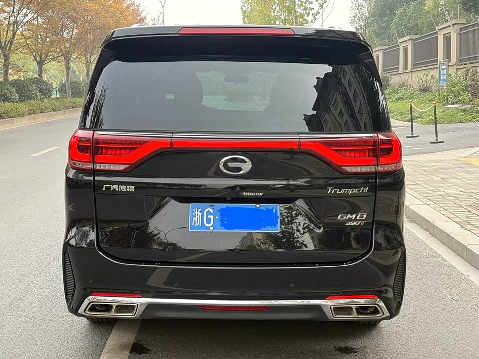 Trumpchi Trumpchi M8