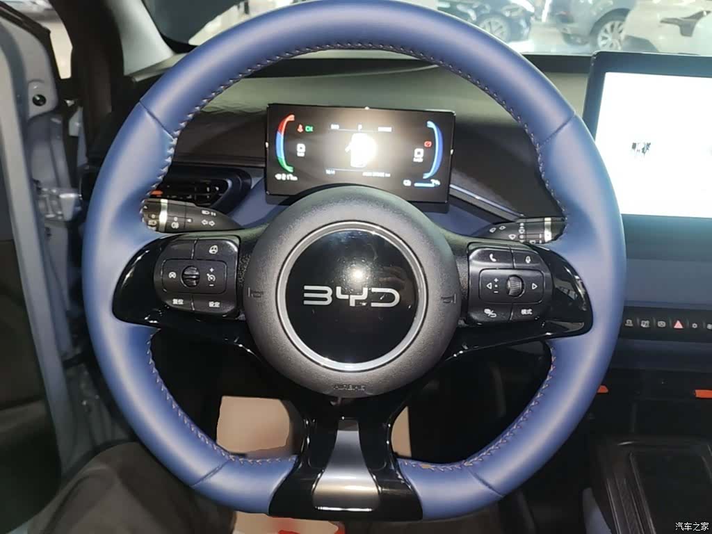 BYD Seagull, 2024 11