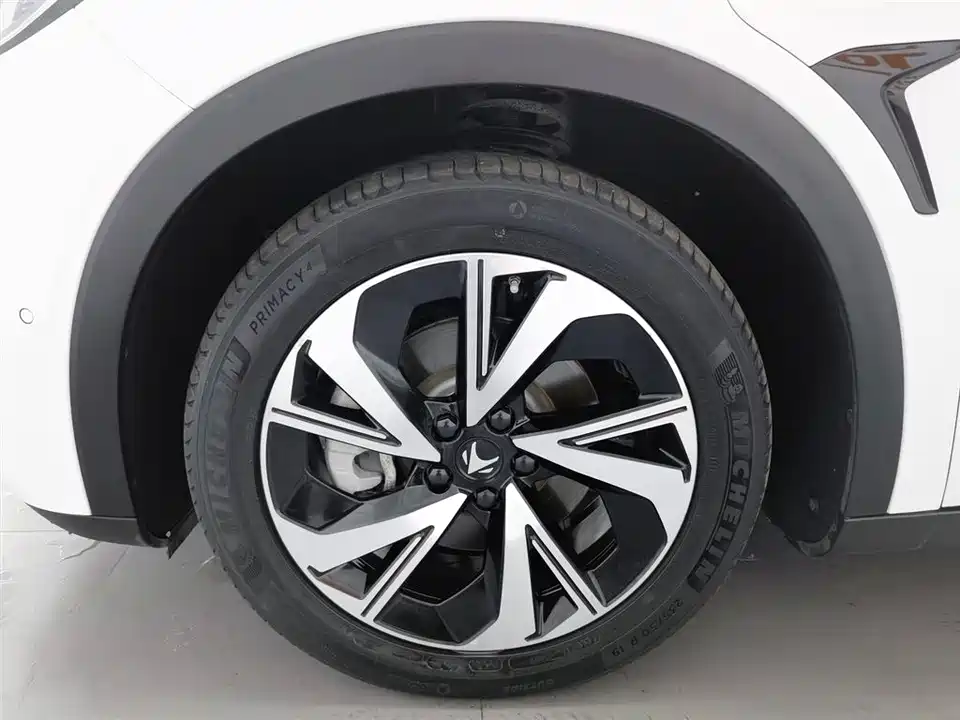 ARCFOX Polar Fox Alpha S