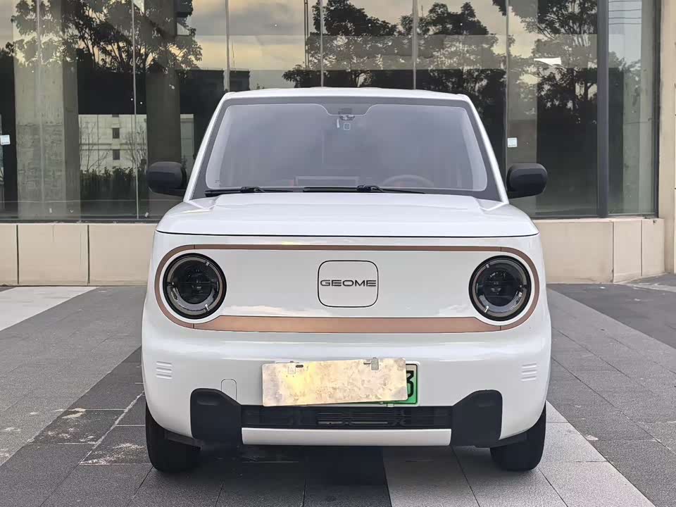 Geely Galaxy panda Geely Galaxy panda