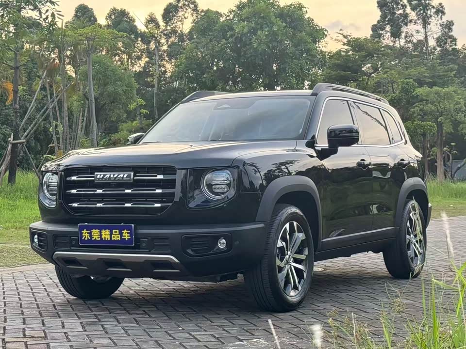 Haval Big dog