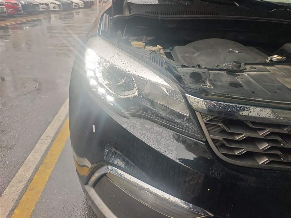 Leopaard Cheetah CS10