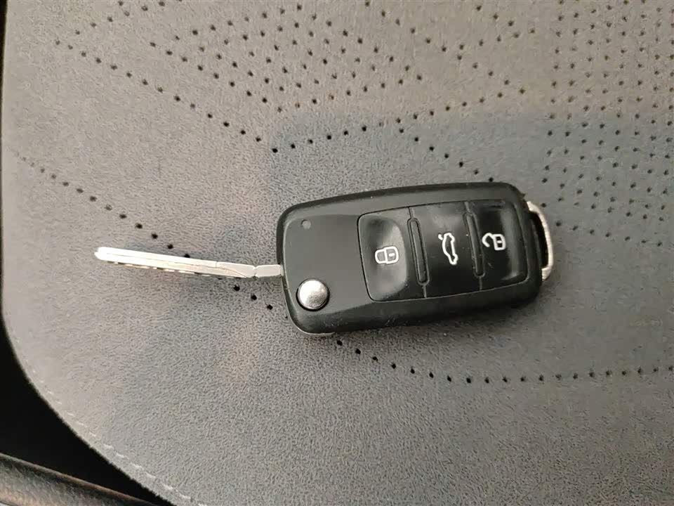 Volkswagen C-TREK Wei Collar