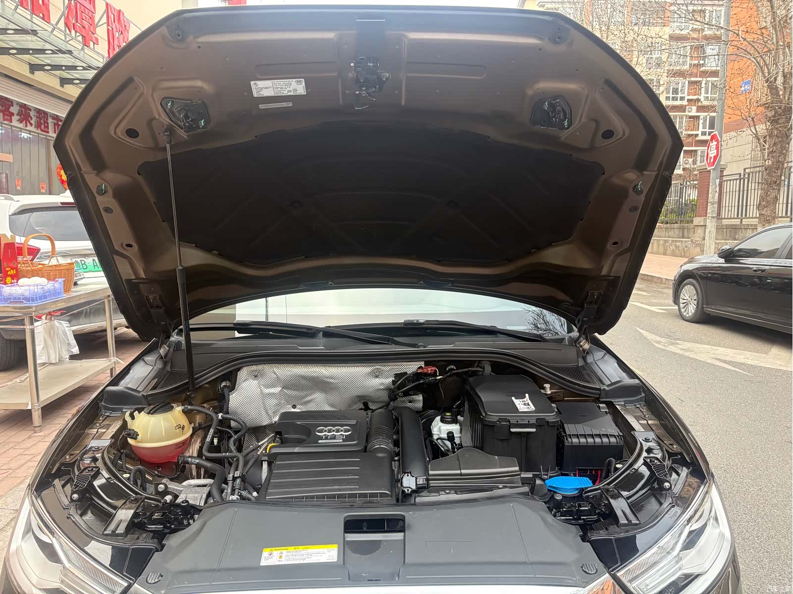 Audi Q3, 2016 все фото