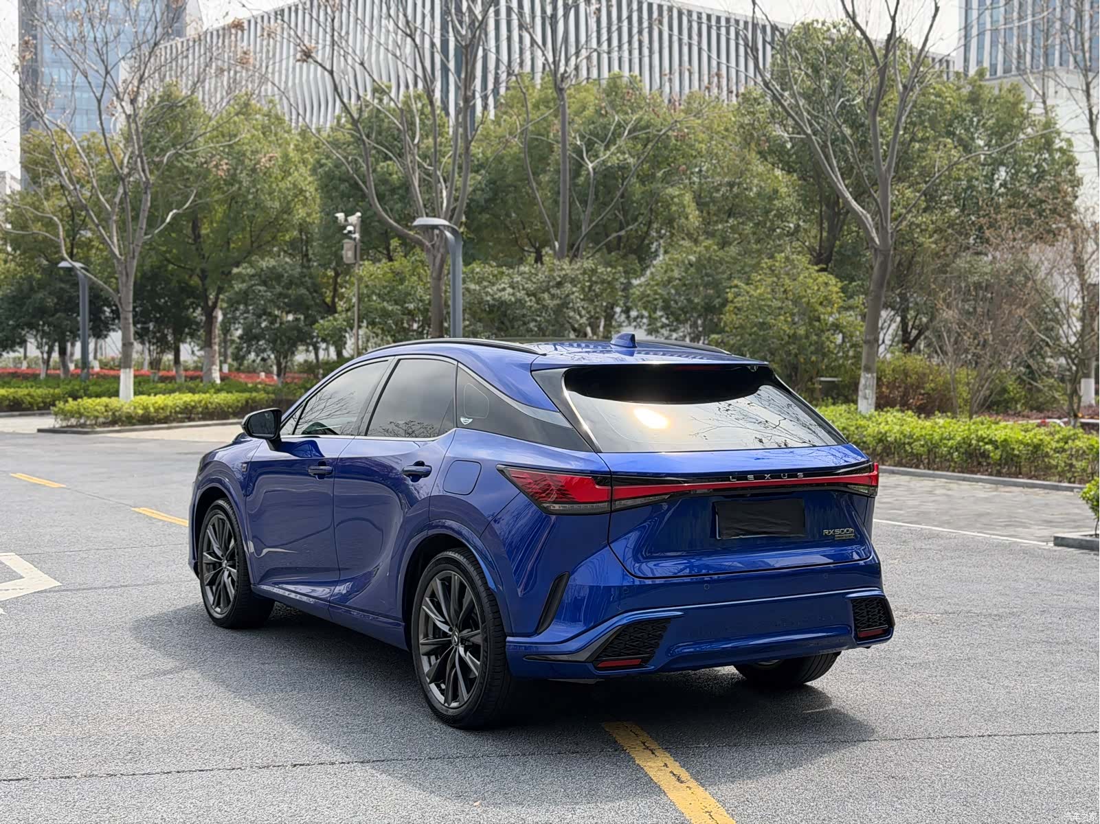 Lexus RX, 2023 15