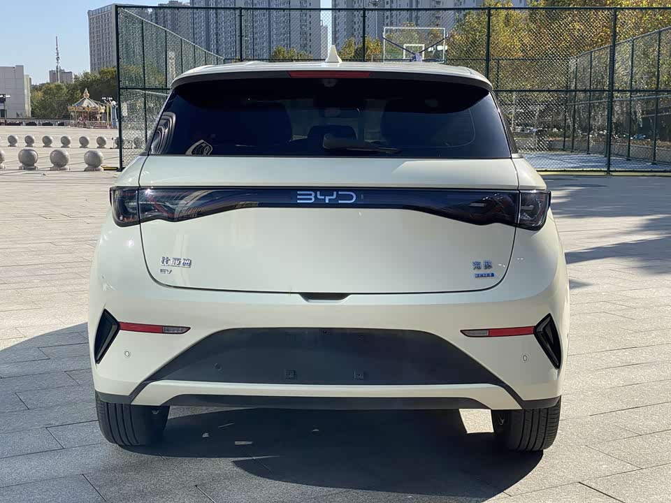 BYD dolphin