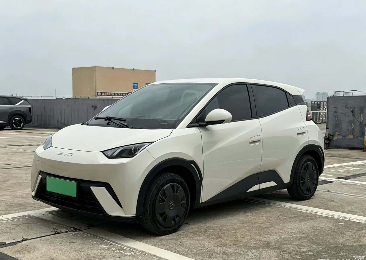 BYD Seagull, 2024 1