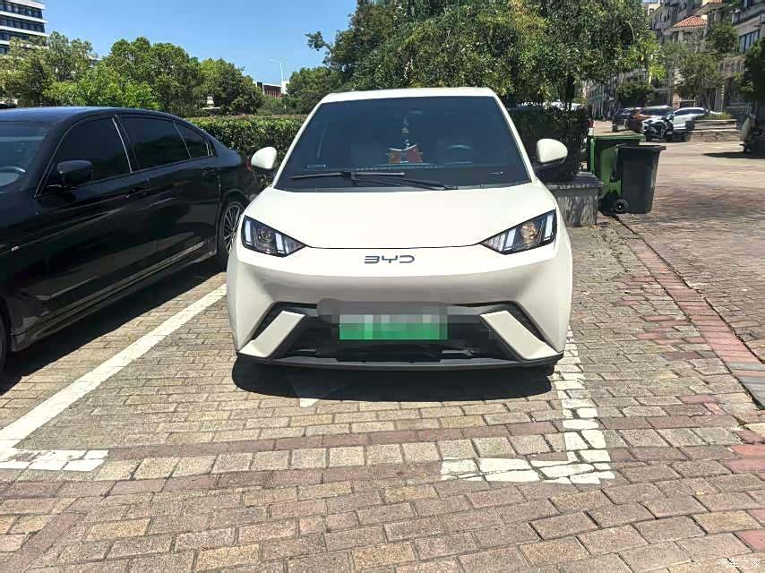 BYD Seagull, 2025 2