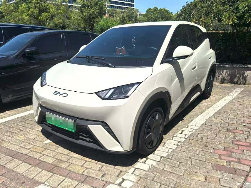 BYD Seagull, 2025 1