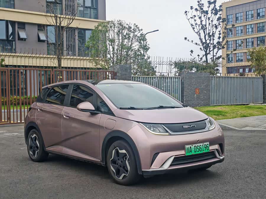 BYD Dolphin 2022, фото 2