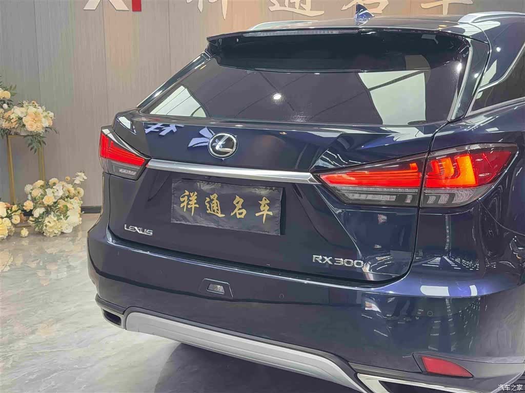 Lexus RX, 2020 20