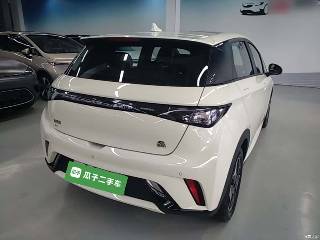 BYD Dolphin, 2022 7