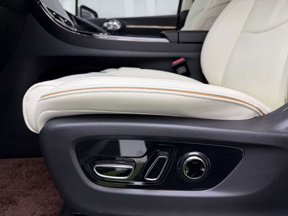 Trumpchi Trumpchi E9