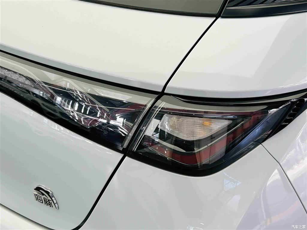 BYD Dolphin, 2023 12
