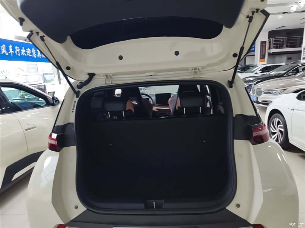 BYD Seagull, 2024 19