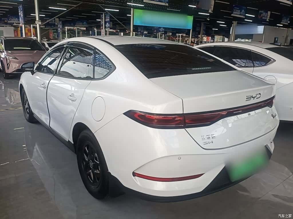 BYD Qin, 2025 все фото
