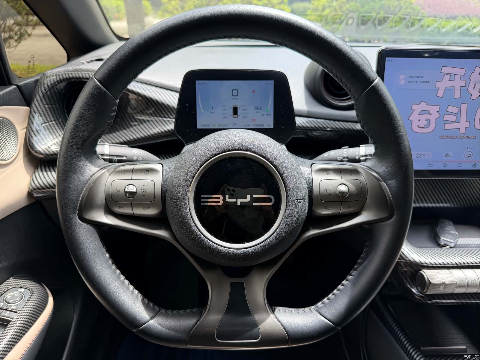 BYD Dolphin, 2024 7