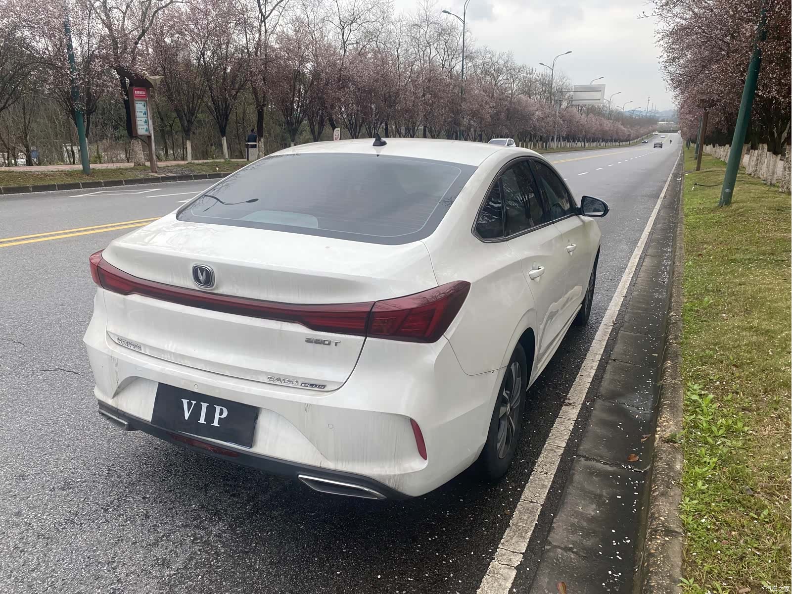 Changan Eado, 2021 9