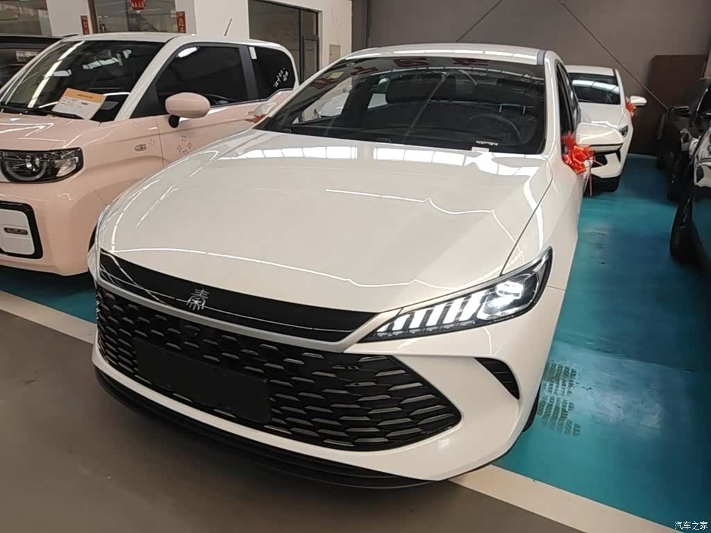 BYD Qin, 2026 1