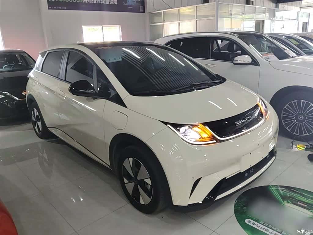 BYD Dolphin, 2024 4