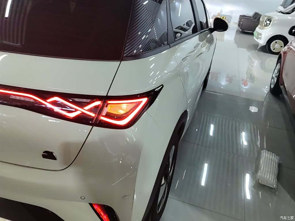 BYD Dolphin, 2024 8