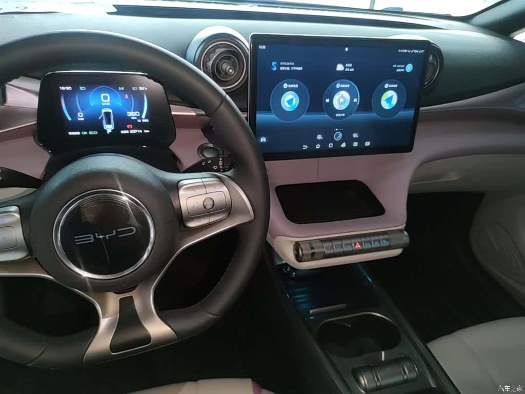 BYD Dolphin, 2021 13
