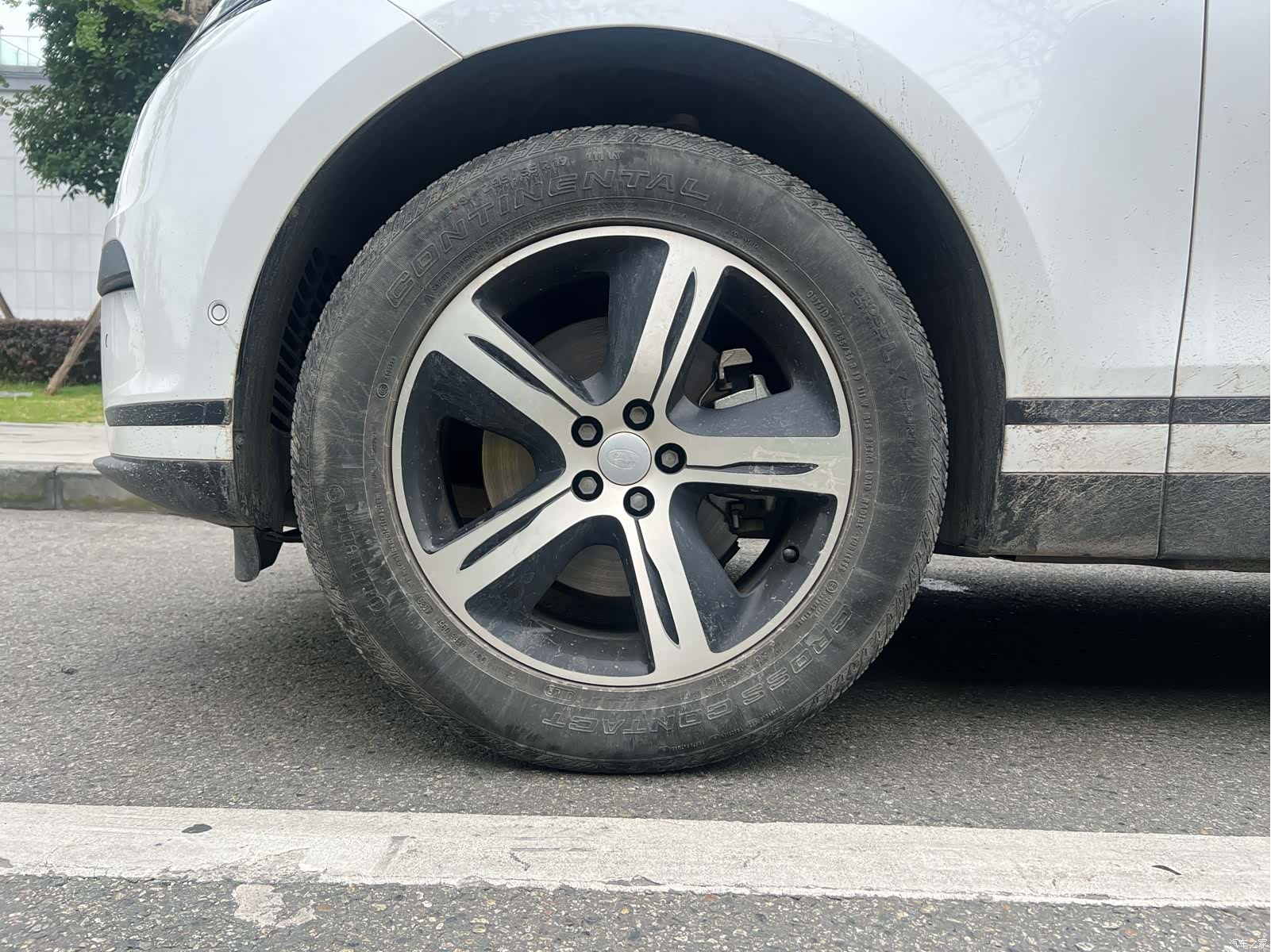 Land Rover Range Rover, 2024 все фото